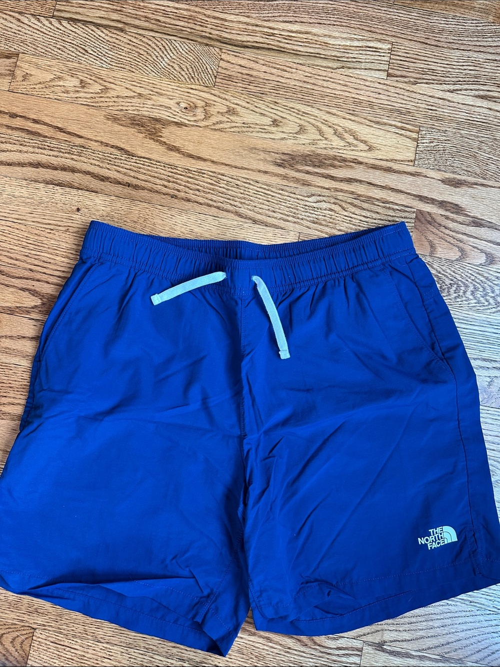 The North Face cobalt blue 2.0Action shorts with white drawstring